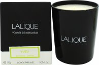 Lalique Candle 190g - Yuzu Shikokou
