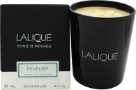 Lalique Candle 190g - Peuplier Aspen