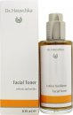 Click to view product details and reviews for Dr hauschka facial toner 100ml.