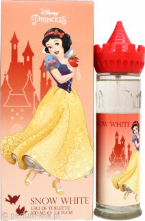 disney a princess wish